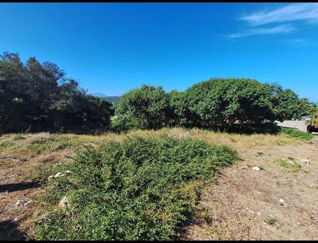 LAND FOR SALE IN BERGSIG